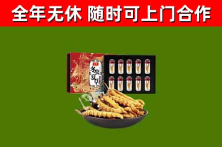 赤水市回收冬虫夏草价格
